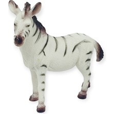 Vahşi Hayvanlar Serisi - YS2689 - Zebra (Lisinya)