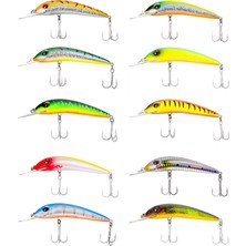 Japanese Iruka Maket Balık