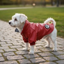 TrendyPati Köpek Deri Ceket