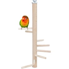 Hepta Collection X-Perk Ağaç Sopalı Kuş Merdiveni Tüneği Kuş Parkuru Tünek Döner Kuş Merdiven Boy 30 cm