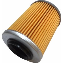 Motohane Atv Utv Cf 400-500-800-1000 Yağ Filtresi