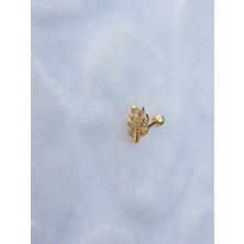 Canka Tragus Küpe Piercing Çelik