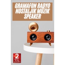 Laveen Market Gramafon Nostaljik Radyo Yüksek Ses Kalitesi USB Tf Kart Aux LAVEEN-5420