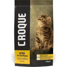 Hepta Collection Croque Tavuklu Yavru Kedi Maması 1,5kg