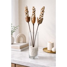B'Clara Home 3'lü Shola Berries Tropikal Dekoratif Kuru Çiçek Vazo Çiçeği