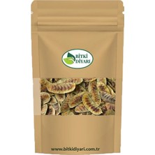 Bitki Diyarı Açlık Otu (Cassia Angustifolia) Senna 1kg