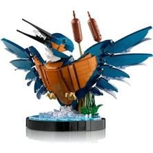 NW NessiWorld 10331   Icons - Yalıçapkını Kuşu 834 Parça +18 Yaş