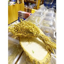 Bitki Diyarı Üzerlik Otu Demet 5AD