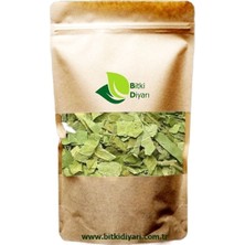 Bitki Diyarı Gimneya (Gymnema Sylvestre) Cinnema Gurmar 500GR