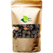 Bitki Diyarı Defne Tohumu 100GR