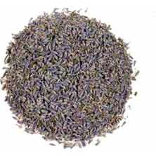 Bitki Diyarı Lavanta Çiçek Paket 100GR