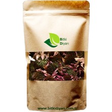 Bitki Diyarı Ekinezya Çiçek 50 gr