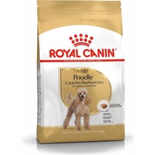 Hepta Collection Poodle Yetişkin Köpek Maması, 3 kg