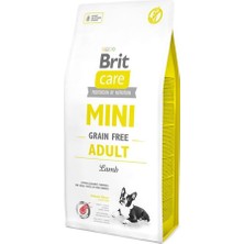 Hepta Collection Brit Care Adult, Minik Irk - Yetişkin Köpekler Için, Tahılsız, Hipoalerjenik Kuzu Etli Kuru Mama, 2