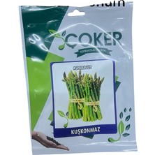 Çoker Kuşkonmaz (Asparagus) Tohumu 10 Adet