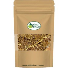 Bitki Diyarı Melek Otu (Angelica Archangelica) 100GR
