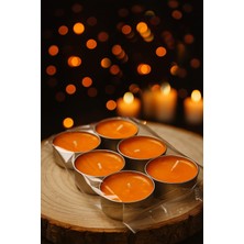 Bitki Diyarı Doğal Balmumu Buhurdanlık Mumu Büyük Boy 6AD