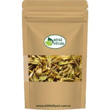 Bitki Diyarı Çuha Çiçeği (Primula Acaulis) 25GR