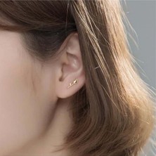 Ft Tasarım Minik Lale Antialerjik Çelik Küpe - Altın Kaplama | Toptan Çelik Takı