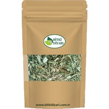 Bitki Diyarı Sinirli Ot 25GR
