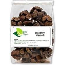 Bitki Diyarı Selvi Kozalağı 500GR