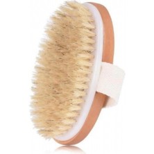 Bitki Diyarı At Kılı Vücut Fırçası 1AD