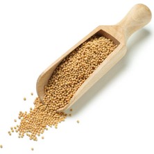 Bitki Diyarı Sarı Hardal Tohumu 100GR