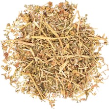 Bitki Diyarı Pelin Otu Paket 100GR