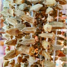 Bitki Diyarı Bamya Kurusu 100GR