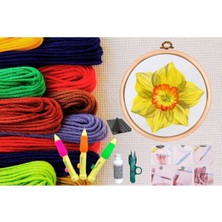 Pazarcan Punch Seti Nakış Seti Kasnaklı Kendin Yap Seti Seri 86