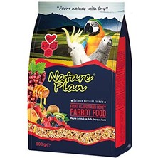 Hepta Collection Papağan Yemi 800 gr