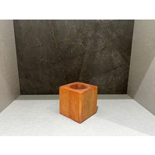 Hepta Collection Kırmızı Küp Kaktüs Saksı