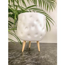 Hepta Collection Bitkitasarımı Ev Dekorasyon Aksesuar Beyaz Desenli Toprak Saksı Saksılık Salon Çiçeklik 3 Ayaklı - 1