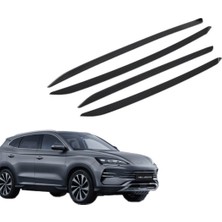 Ramm Byd Seal U Kapı Iç Kaplama Seti Karbon Mat Siyah (4 Adet)