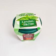 Hepta Collection Meraklı Bahçeci - Kendim Diktim Mini Saksıda Fidelik Dikim Seti - Fesleğen