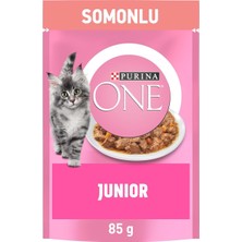 Hepta Collection One Somonlu Yavru Kediler Için Yaş Kedi Maması 85 Gram, 26 Adet