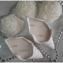 Zeyn Dekoratif Mum Deniz Kabuğu 2 adet