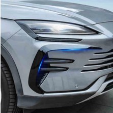 Ramm Byd Seal U Sis Farı Çerçevesi Seti Sağ + Sol Siyah