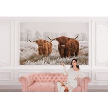 the mr east Iskoçya Sığırları Dekoratif Duvar KAĞIDI-1150