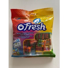 NAZAR Meyve ve Nane Aromalı Şekerli Sakız 80 Gr. x 1 Adet