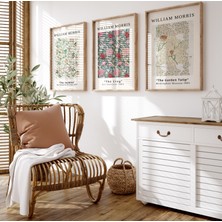 Pam Studio William Morris 3’lü Ahşap Çerçeveli Tablo Seti - Modern Minimalist Çiçek Desenli Duvar Dekoru