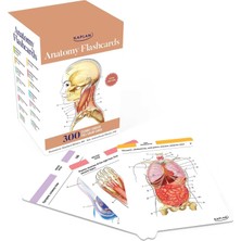 Anatomy Flashcards: 300 Flashcards With Anatomically Precise Drawings And Exhaustive Descriptions