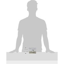 Stonemaier Games STM641 Scythe: Encounters, Karışık Renkler