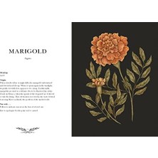 An Illustrated Guide To The Victorian Language Of Flowers: An Illustrated Guide To The Victorian Language Of Flowers Volume 1