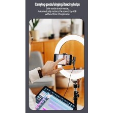 Kablosuz Yaka Mikrofonları 2li For Type-C For Iphone Tüm Modeller Video Kaydı, Podcast, Röportajlar, Youtube, Tiktok ve Vlog Için Mini Mikrofon