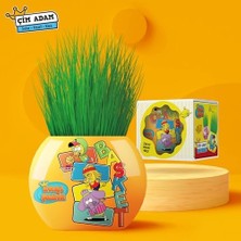 Kral Şakir Temalı Çim Adam 6'lı Set – Çocuklar Için Eğitici ve Eğlenceli Bitki Yetiştirme Kiti