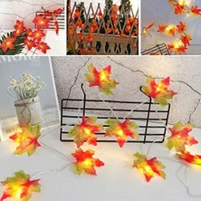 AA98YT1097 Sonbahar Konseptli Dekoratif Yaprak Desenli Şerit LED Gece Lambası, Kırmızı