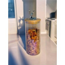 (9X20 Cm) 1 Adet Gökkuşağı Geyikli Cam Saklama Kavanozu Geyik Başı Gümüş Renk Hava Geçirmez Y-471,GÖKKUŞAĞI