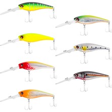 Japanese Iro Maket Balık