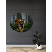 Petmudo AVM Vahşi Kaplan Orman Sürprizi Yağlı Boya Görünümlü Dekoratif Ahşap Ev,antre,salon,ofis,mutfak Tablo